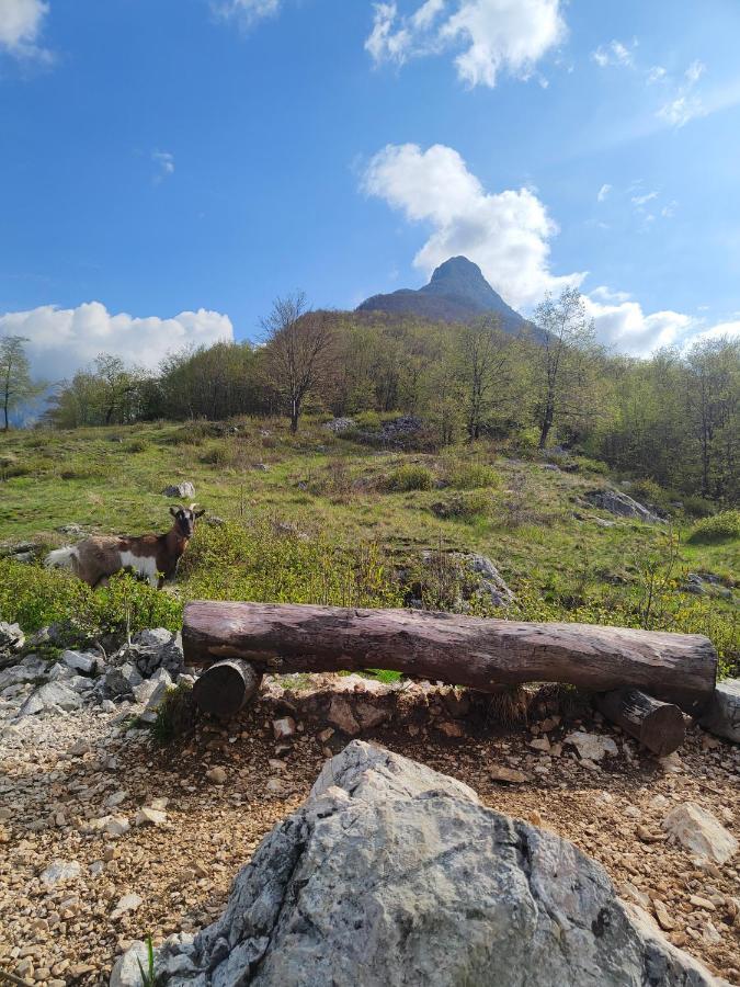 Apartma Metka Bovec Luaran gambar